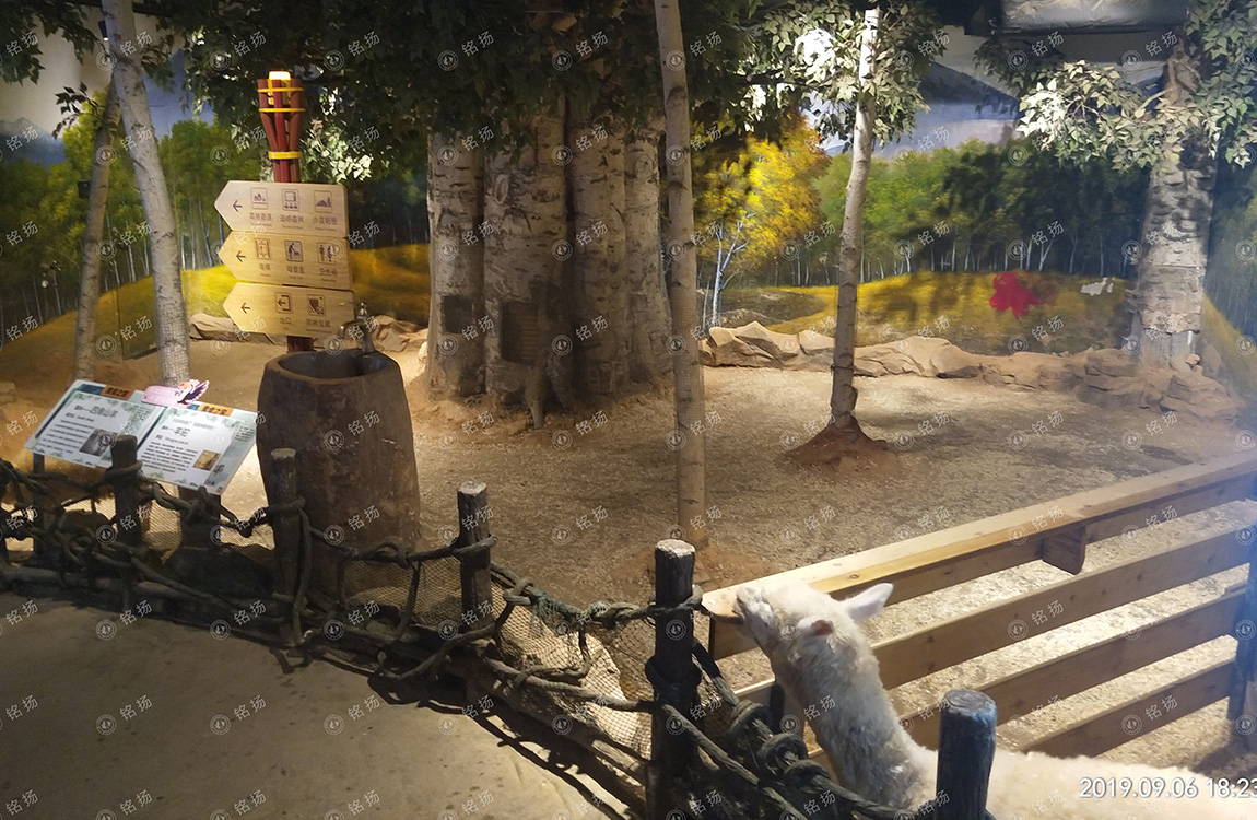 鄭州潘多拉萌寵樂園(圖6)